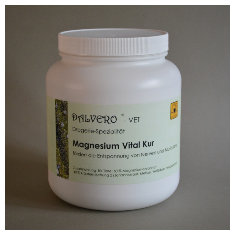 Magnesium Vital Kur